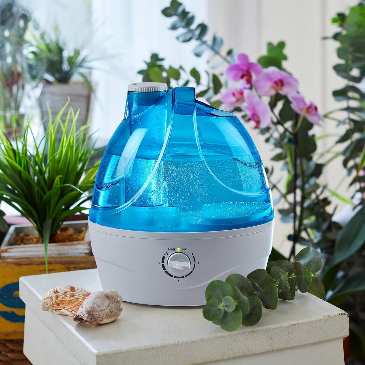 Cool Mist Humidifier 2.2L with Adjustable Mist