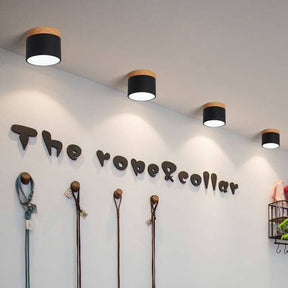 Scandinavian Macaron LED Ceiling Light | Wooden Accent Flush Mount