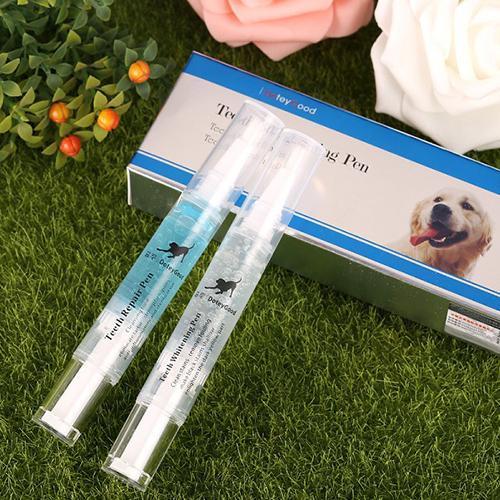 Saúde Bucal dos Pets por Meio da Reparação e Prevenção de Doenças