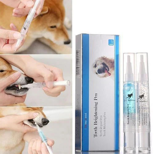 Saúde Bucal dos Pets por Meio da Reparação e Prevenção de Doenças