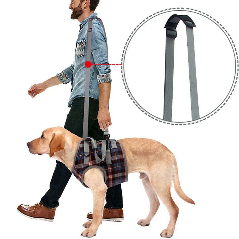 Orthopedic Dog Harness – Rear & Front Leg Support, Adjustable & Breathable