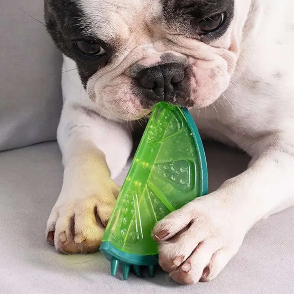 Brinquedo Mordedor de Resfriamento para Cães no Verão