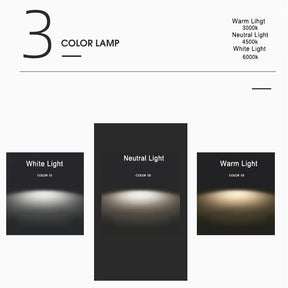 Scandinavian Macaron LED Ceiling Light | Wooden Accent Flush Mount