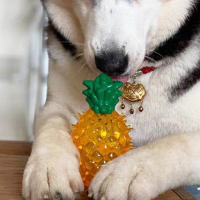 Brinquedo Mordedor de Resfriamento para Cães no Verão