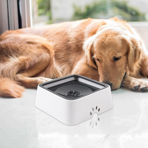 Tigela de Água para Cães Anti-Transbordamento de Grande Capacidade