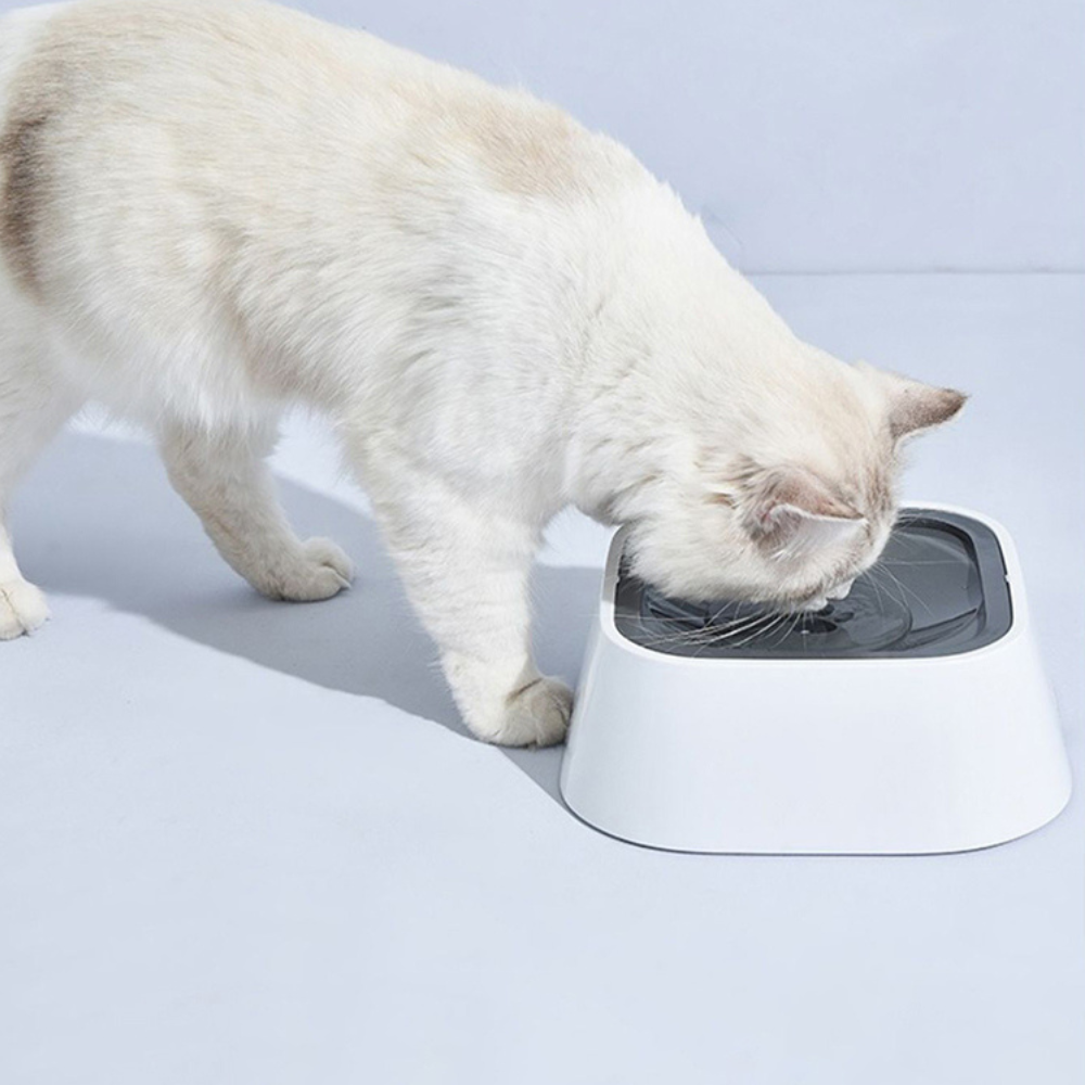 Tigela de Água para Cães Anti-Transbordamento de Grande Capacidade