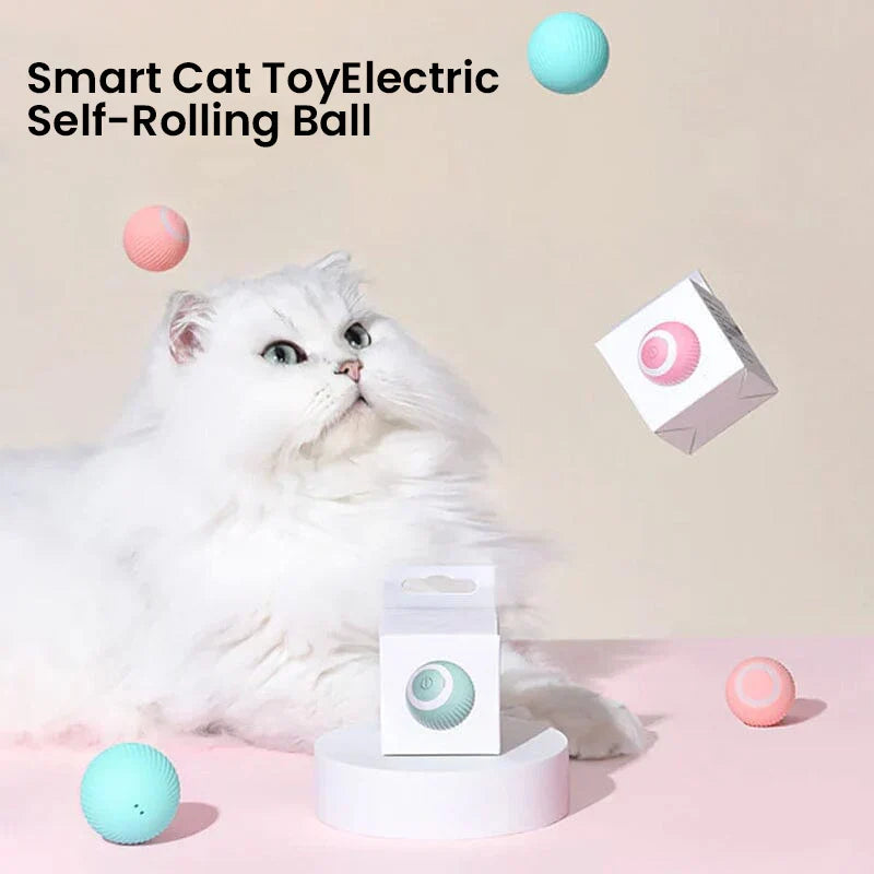 Brinquedo interativo 2 em 1 para gatos de caça simulada