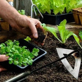 Ferramenta de Jardinagem para Capinar com Lâmina Oca – Menos Esforço e Resultado Limpo
