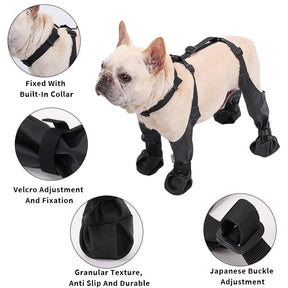 Botas Ajustáveis para Cães