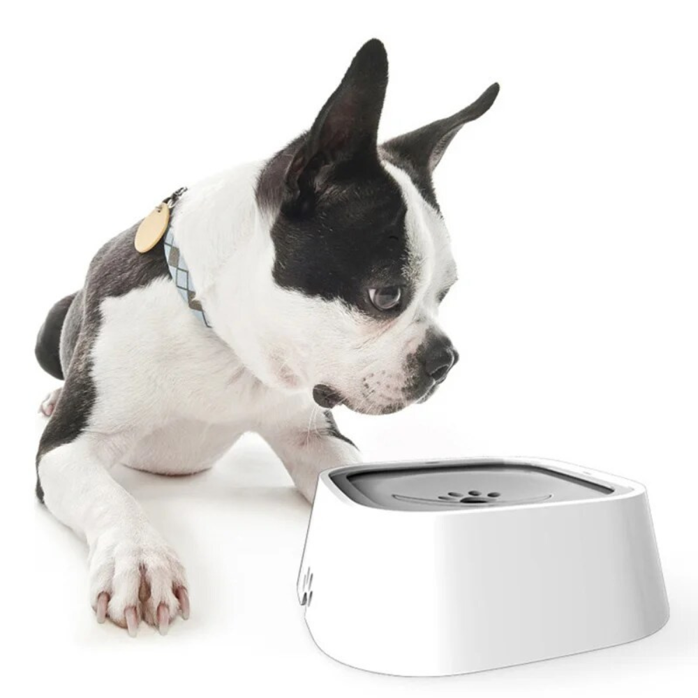 Tigela de Água para Cães Anti-Transbordamento de Grande Capacidade