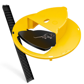 Armadilha de Rato para Balde com Tampa de Rearme Automático Reutilizável e Humanizada