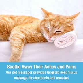 Massageador para Pets