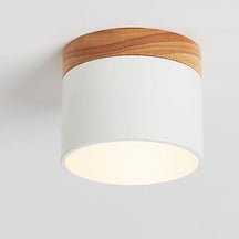 Scandinavian Macaron LED Ceiling Light | Wooden Accent Flush Mount