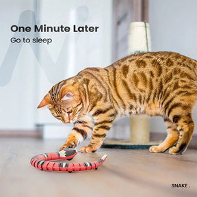 Brinquedos Interativos para Gatos