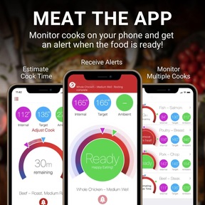 Termômetro de carne inteligente sem fio