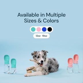 Garrafa de água portátil de 560 ml para cães