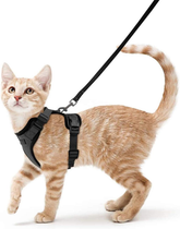 Peitoral para gatos antifuga