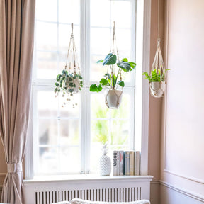 Vaso Suspenso para Plantas de Interior