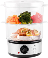 Vaporizador Elétrico de Legumes