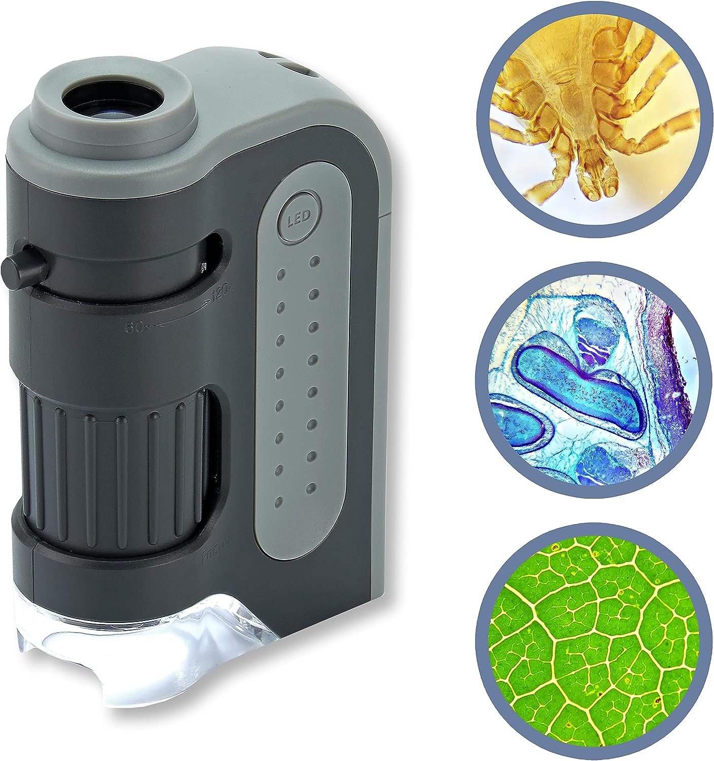 Microscópio de Bolso Portátil