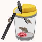 Armadilha de Rato para Balde com Tampa de Rearme Automático Reutilizável e Humanizada