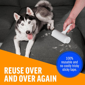 Removedor de Pelos de Pets
