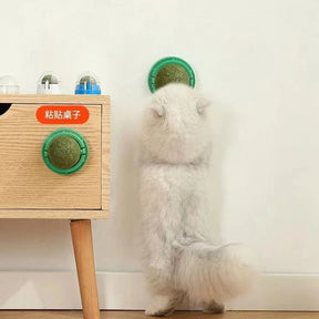 4 Bolas de Erva de Gato Premium