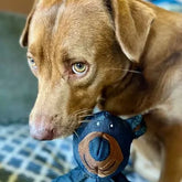 Brinquedo Mordedor Durável para Cães - Borracha Natural de Alta Resistência para Cães que Mordem Forte