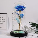 Presente de Dia das Mães: Rosa em Cúpula de Vidro para Decoração