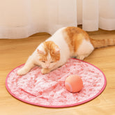 Tapete de Brinquedo Interativo para Gatos com Conjunto de Bola de Perseguição