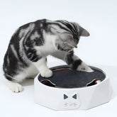 Cat Toy Scratch Pad Interactive Mouse Activity Center