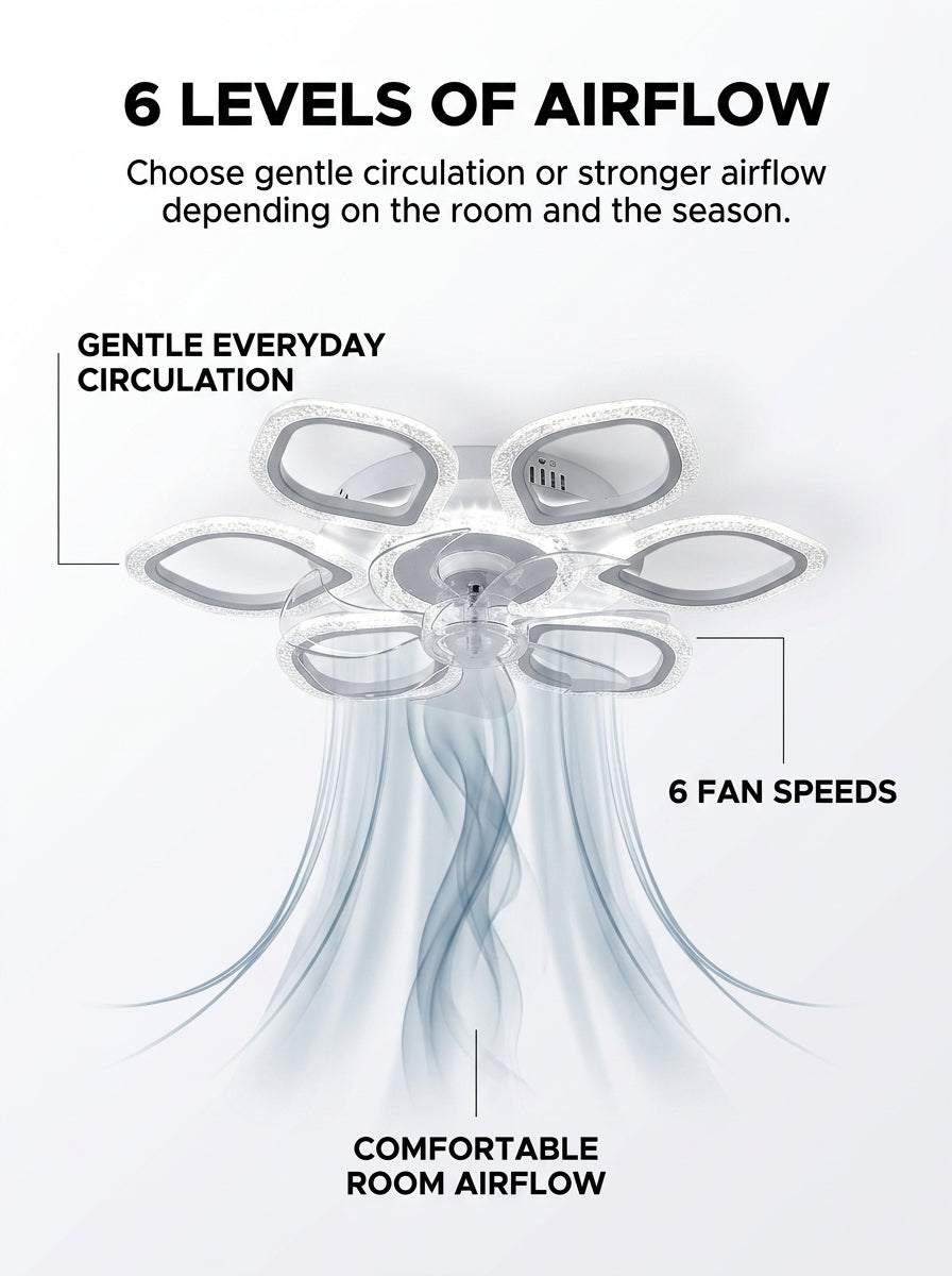 Six speeds, dimmable light and a timer.
