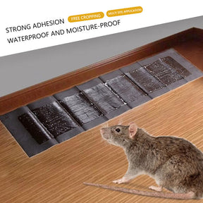 5 Placas Adesivas Extra Grandes para Ratos e Camundongos