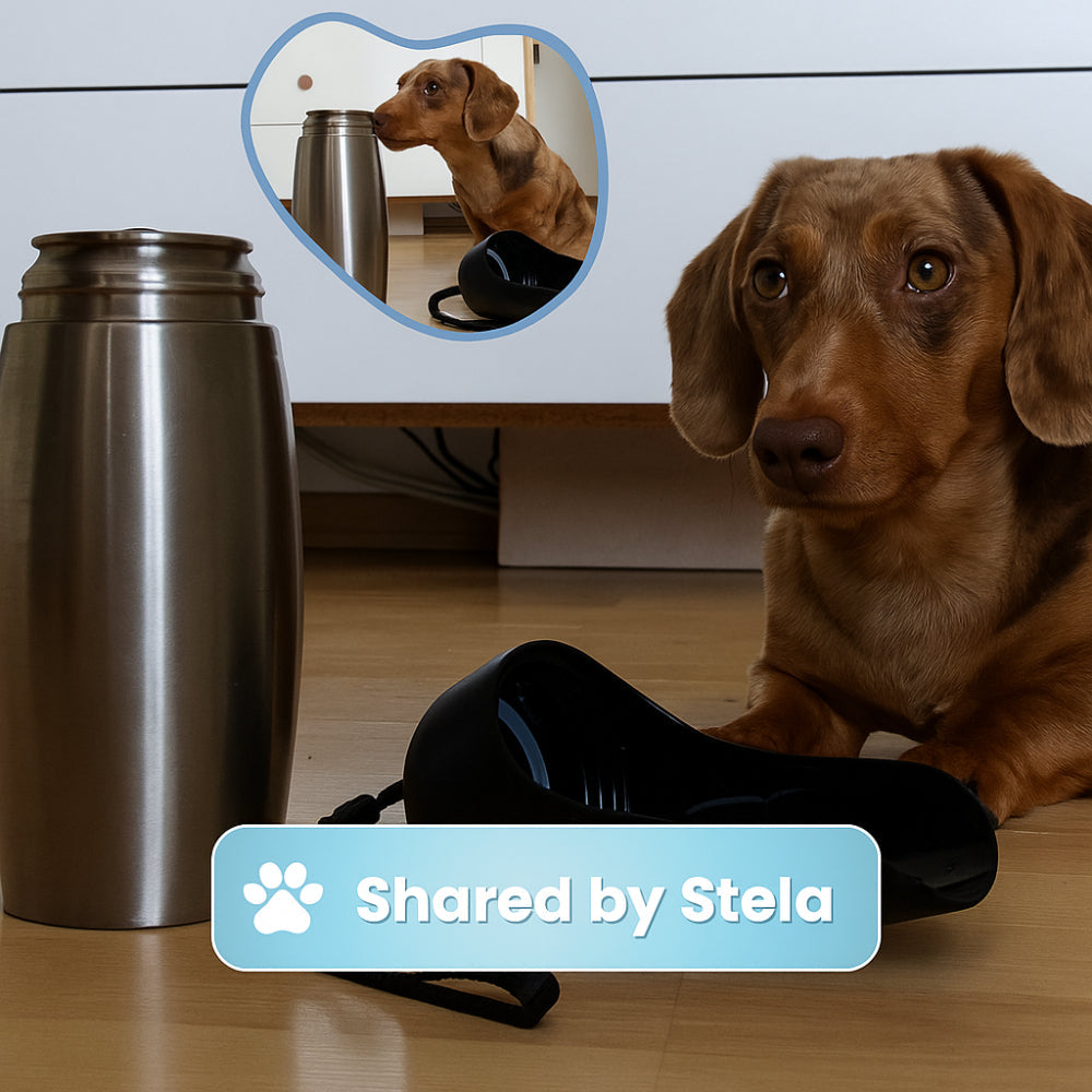 Garrafa de Água para Cães em Aço Inoxidável para Viagem