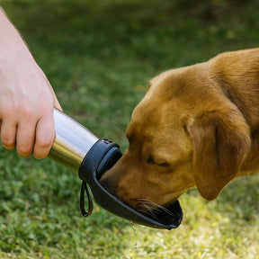Garrafa de Água para Cães em Aço Inoxidável para Viagem