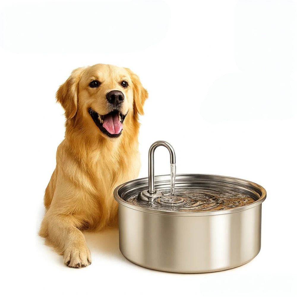 Fonte de Água para Pets em Aço Inoxidável Bebedouro Automático