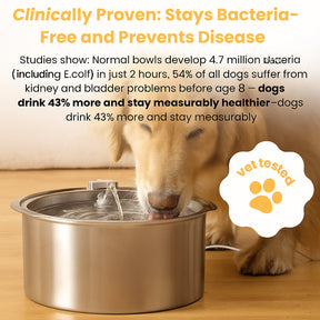 Fonte de Água para Pets em Aço Inoxidável Bebedouro Automático