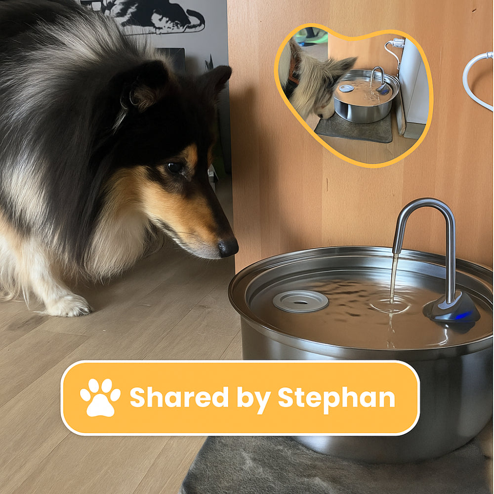 Fonte de Água para Pets em Aço Inoxidável Bebedouro Automático