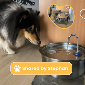 Fonte de Água para Pets em Aço Inoxidável Bebedouro Automático