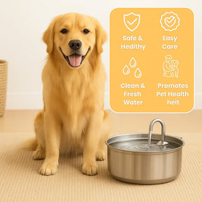Fonte de Água para Pets em Aço Inoxidável Bebedouro Automático