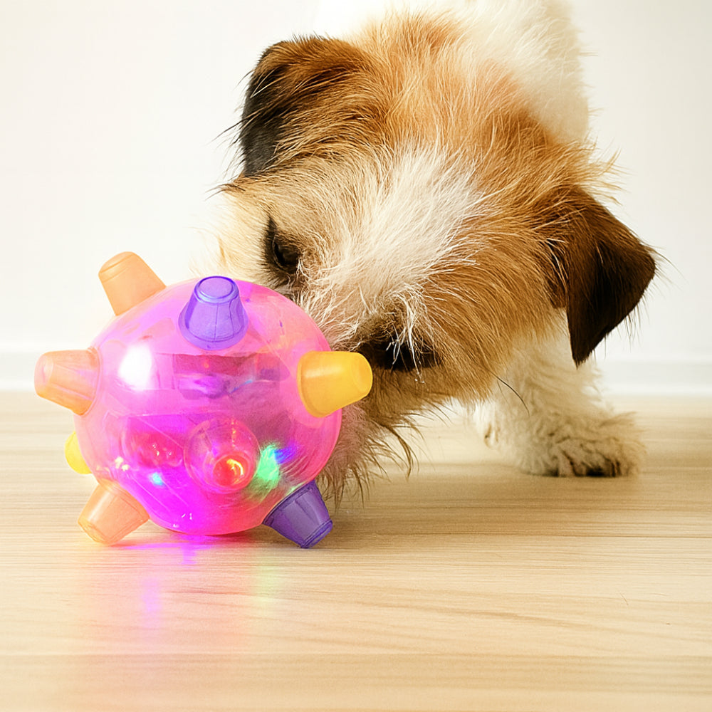 Brinquedo para Cães Bola de Borracha Plástica Interativa com LED que Pula