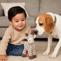 Brinquedo para cachorro corda animal com apito