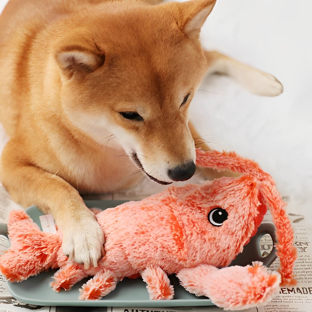 Brinquedo Interativo para Cães Lagosta de Pelúcia