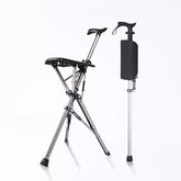 Walking stick with seat