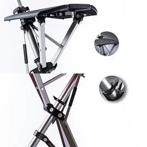 Walking stick with seat