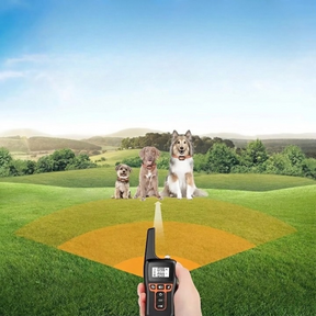 Coleira de Adestramento para Cães com Controle Remoto – Alcance de 1000m, Modo de Vibração e Sinal Sonoro