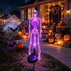 2-Piece Solar Skeleton Yard Stake Light Set
