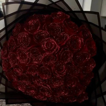 Rosas Cintilantes