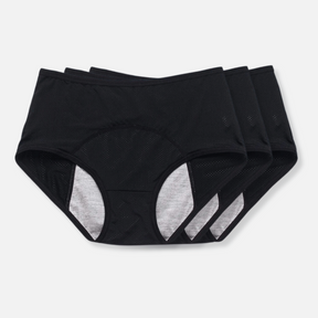 Women's Underwear Period Brief Leak Protection Design