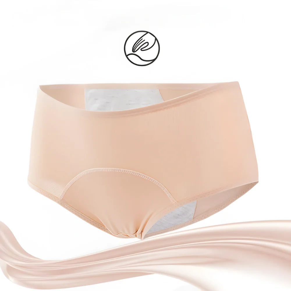 Women's Underwear Period Brief Leak Protection Design